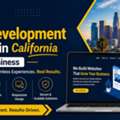 Trusted Web Development Agency In California For Business