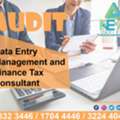 Audit Data Entry Management And Finance Tax Consultant