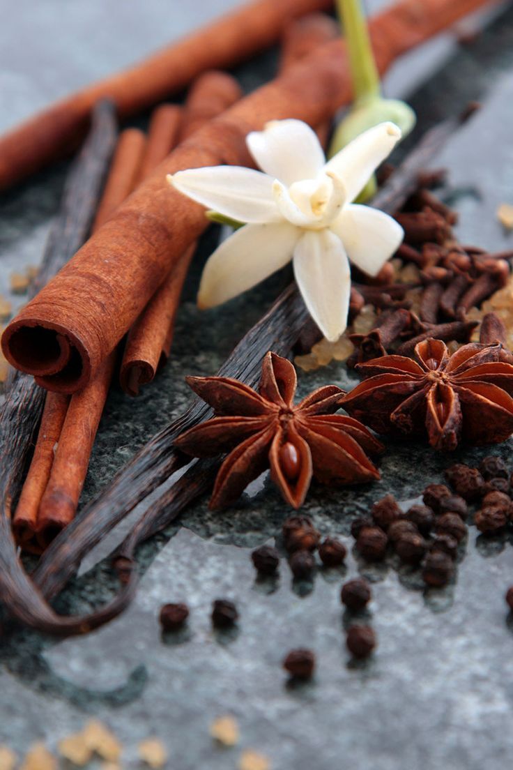 Kochi, Perfumes & Fragrances, INR 1,  Discover Your Signature Fragrance With Olivene