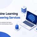 Machine Learning Engineering Services