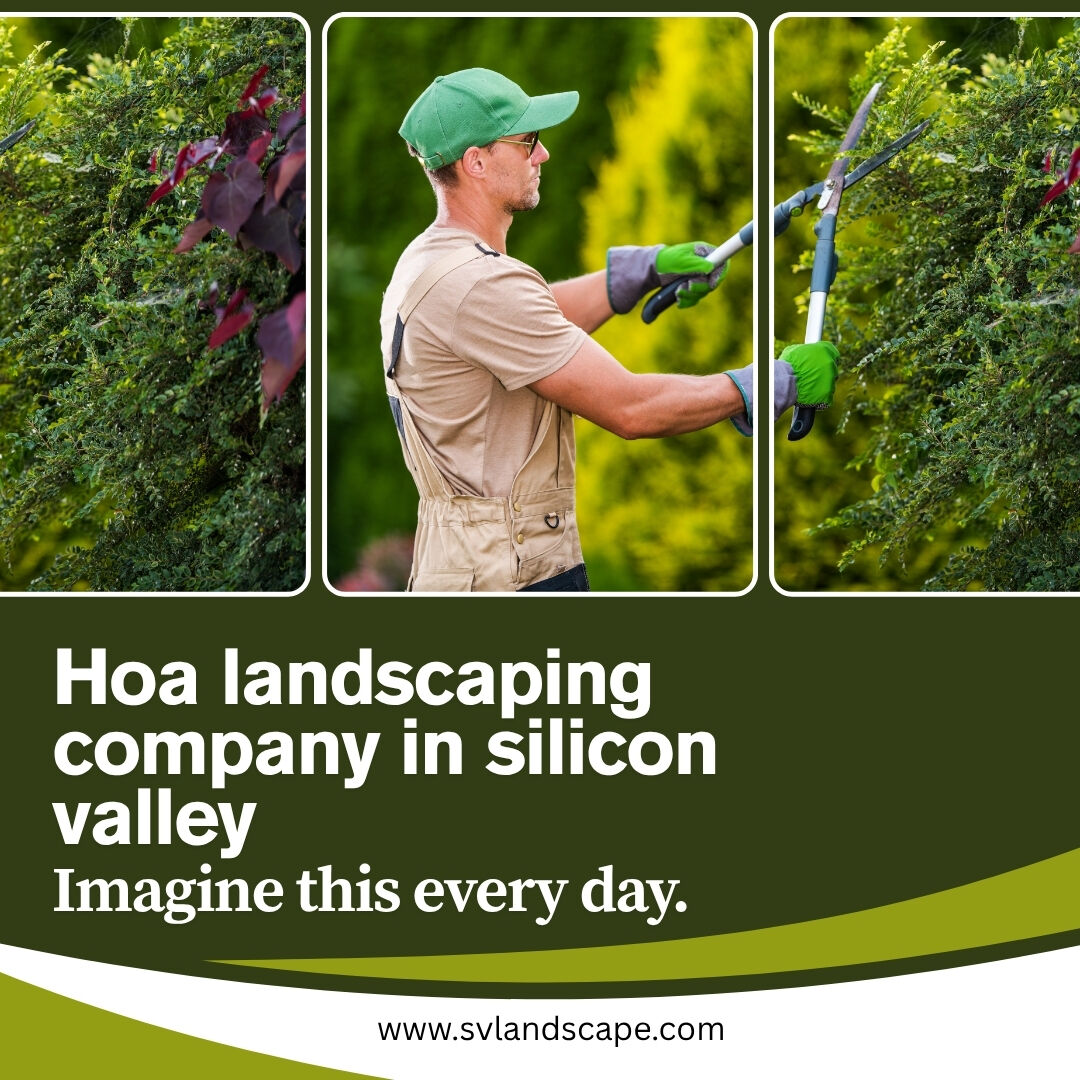 New York, Business, HOA Grounds Maintenance Company San Jose