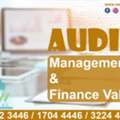 Audit Management & Finance Value