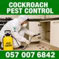 🟩🟩🟩 COCKROACH PEST CONTROL AT LOW PRICE 🟩 | RAS TANURA | 🟩 057 007 6842 🟩🟩🟩