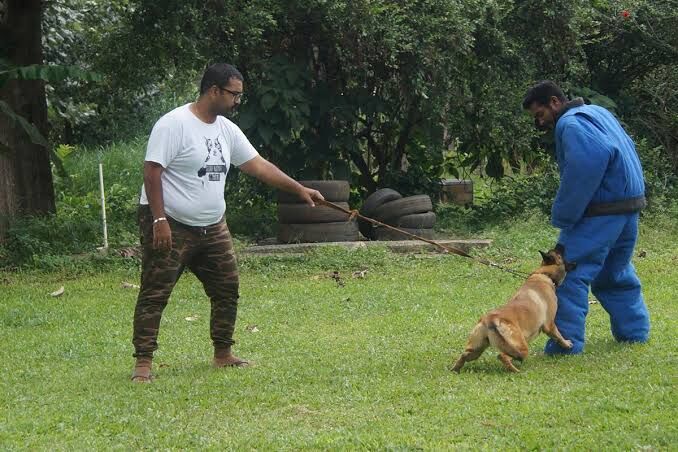 Gurugram, Pet Sitting, Dog Trainer Ahmedabad | Professional Dog Training Services