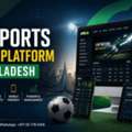 B2C Sports Betting Platform For Modern Betting Businesses