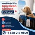 Need Help With American Airlines Pet Policy? Call For Quick Assistance