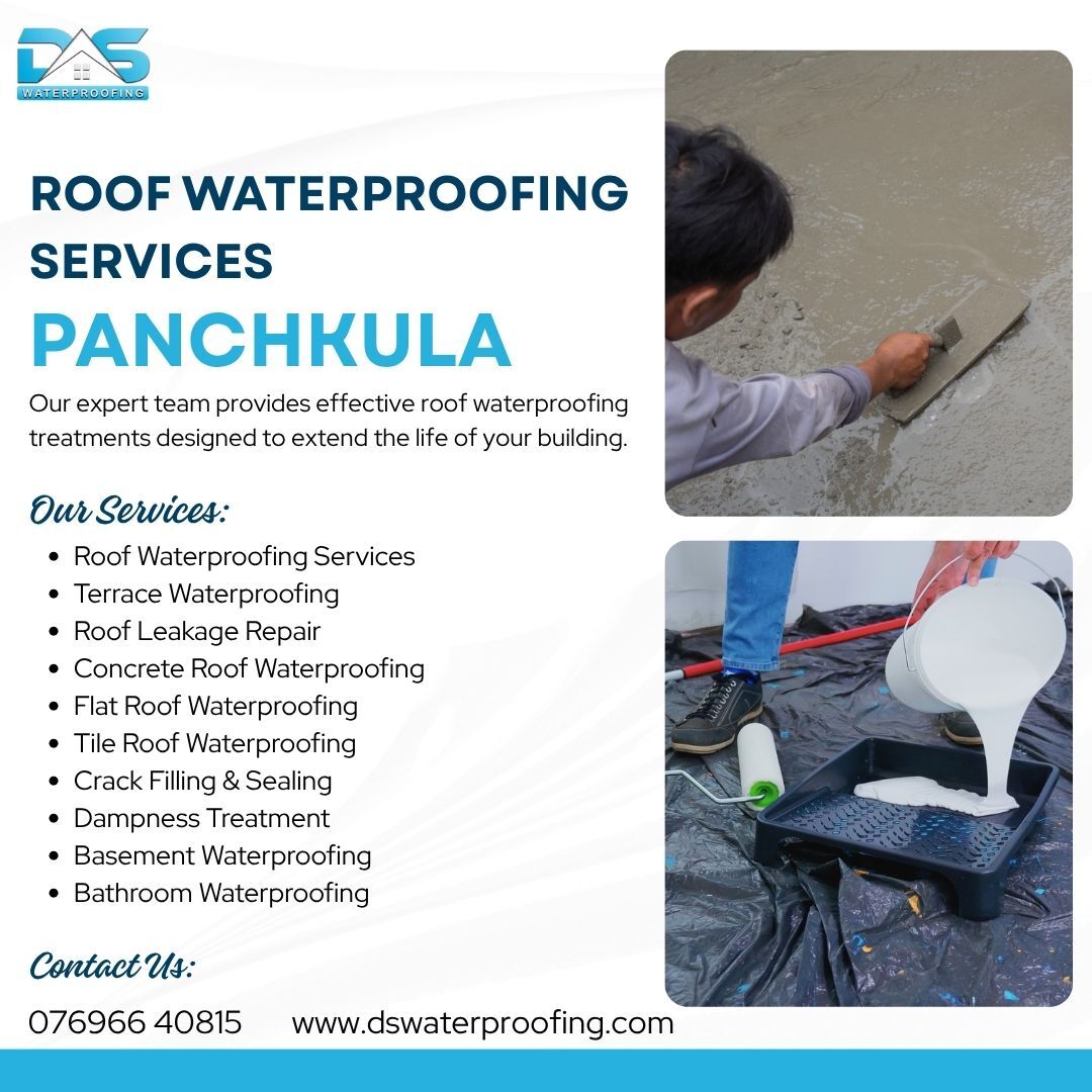 Panchkula, Business, Terrace Waterproofing Services Panchkula