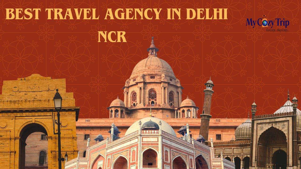 Faridabad, Travel, Where To Find The Best Travel Agency In Delhi NCR For Your Trip