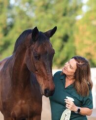 Dubai, Beautician, Natural Fly Spray For Horses UAE