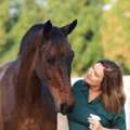Natural Fly Spray For Horses UAE