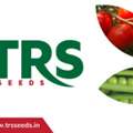 Hybrid Vegetable Seeds Suppliers For Indian Farmers