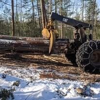 New York, Business, Trusted Tree Service Weare Nh For Residential Property Care