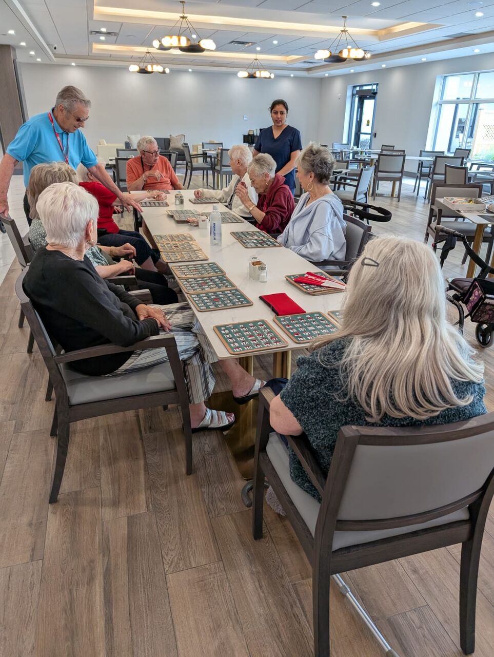 Toronto, General, Enjoy Engaging Social Activities For Seniors In Brantford