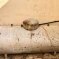 SAR 1500,  1 Ton Gas Tank Anerican For Sale