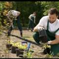 Gardener