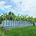 THB 2800000,  6 BR,  437 Sq. Feet,  Urgent Sale, Land With Buildings, 1 Rai 37 Square Wah, With House And Fruit Orchard.