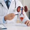 Consult The Best Urologist In Lucknow For Urological Care