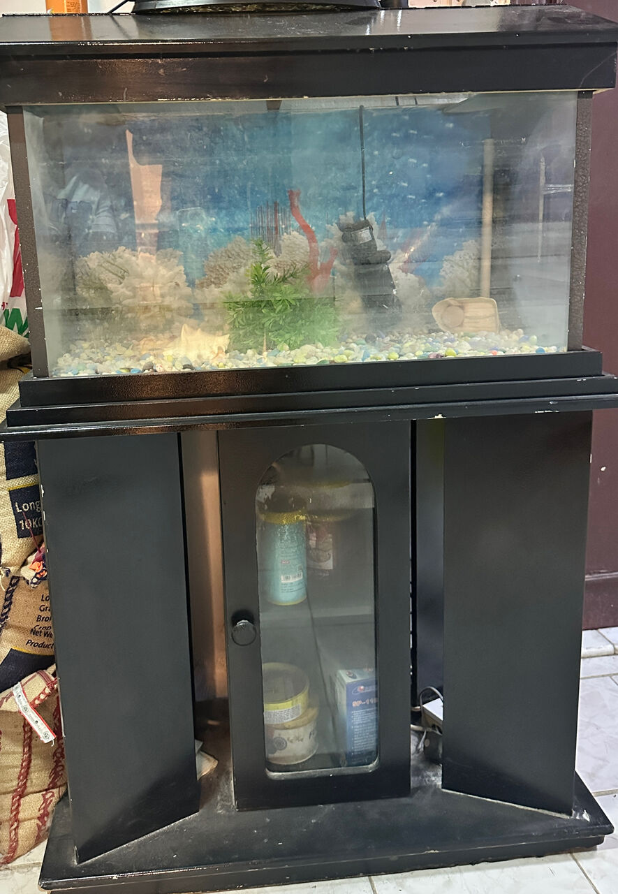 Riyadh, Household Items, SAR 250,  Fish Aquarium