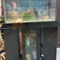 SAR 250,  Fish Aquarium