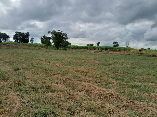 Bangkok, Real Estate For Sale, THB 150000,  6 BR,  12000 Sq. Feet,  Anyone Looking At What They Want Will Like This. Korat, Highland Area Phra Thongkham