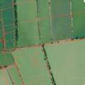 THB 2400000,  6 BR,  407 Sq. Feet,  Land For Sale, Tha Kham, Bang Khun Thian, 1 Rai 7 Sq M, Bangkok