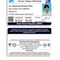 Land Surveyor