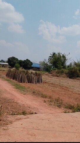 Bangkok, Real Estate For Sale, THB 190000,  6 BR,  7800 Sq. Feet,  Anyone Looking At What They Want Will Like This. At Sikhio Korat Title Deed High Land
