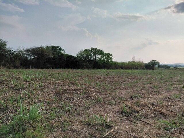 Bangkok, Real Estate For Sale, THB 2900000,  6 BR,  3600 Sq. Feet,  Anyone Looking At What They Want Will Like This. Pak Chong Land 356 Meters Above Sea
