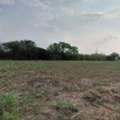 THB 2900000,  6 BR,  3600 Sq. Feet,  Anyone Looking At What They Want Will Like This. Pak Chong Land 356 Meters Above Sea