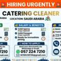 CATERRING CLEANERS