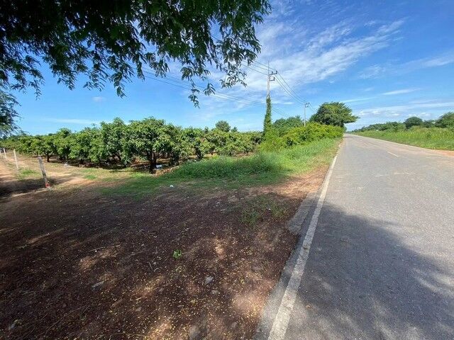 Bangkok, Real Estate For Sale, THB 3500000,  6 BR,  2814 Sq. Feet,  Land For Sale Next To The Road With Mango Orchard And Tenant, Hankha District, Chainat