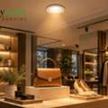 Buying Guide: Best COB Lights & Prices For Retail & Display | Esysense