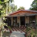 Gir Birding Lodge Stay | Best Lodge In Sasan Gir