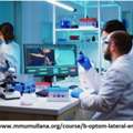 Optometry Lateral Entry Admission