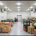 Potato Cold Storage Solutions In India | Blue Ice