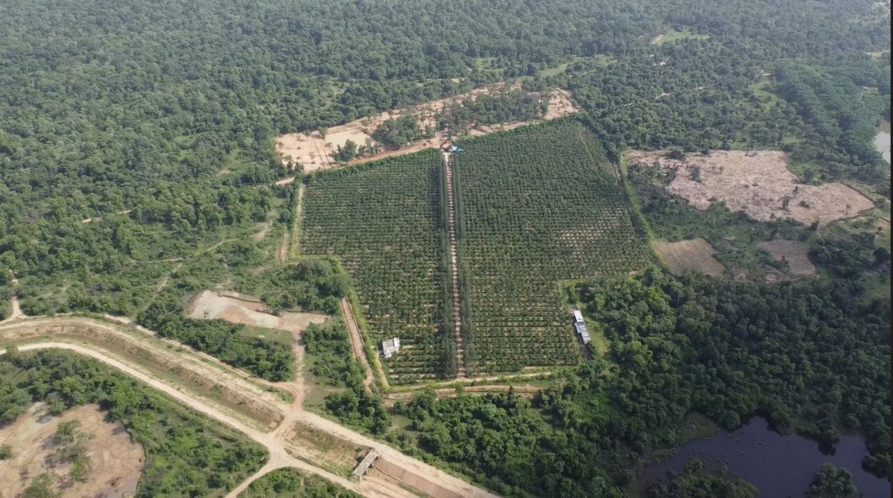 Nagpur, Agricultural Land, Why SM Golden Is An Option To Consider When You Buy Plots In Nagpur