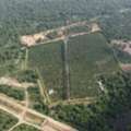 Why SM Golden Is An Option To Consider When You Buy Plots In Nagpur