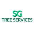 Trusted Tree Surgeons In Aberdeen For Expert Care