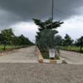 INR 23999,  220 Sq. Yard,  Final Lp Approved Open Plots For Sale Near Ameerpet Village ,mansanpally