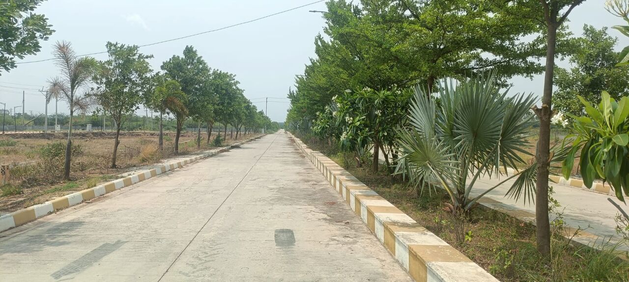 Hyderabad, Residential Plots, INR 23999,  220 Sq. Yard,  Final Lp Approved Open Plots For Sale Near Ameerpet Village ,mansanpally