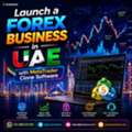 Launch A Forex Business In UAE With MetaTrader Clone Software