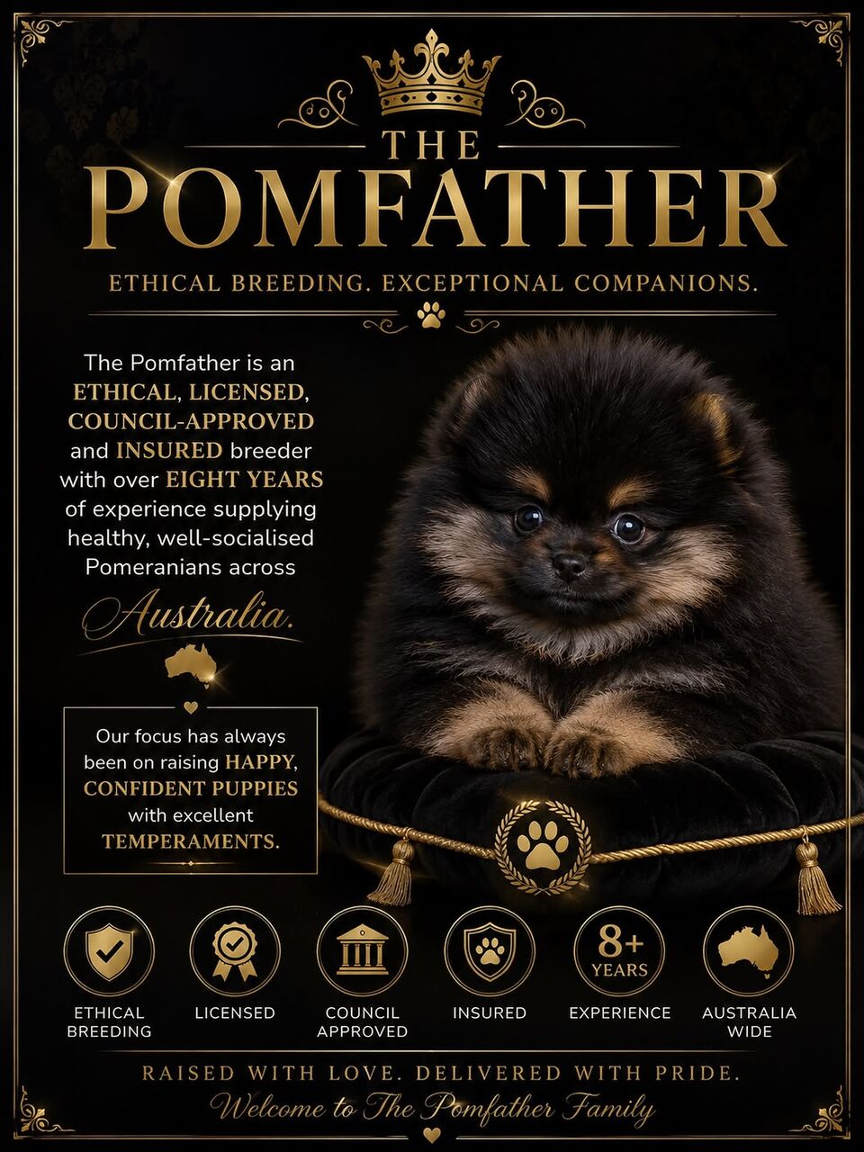 Sydney, Business, Trusted Pomeranian Dog Breeders At The Pomfather