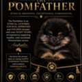 Trusted Pomeranian Dog Breeders At The Pomfather