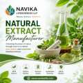 Berberine Supplements & Botanical Extract Solutions