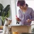 Premium Pet Products For Happy Pets