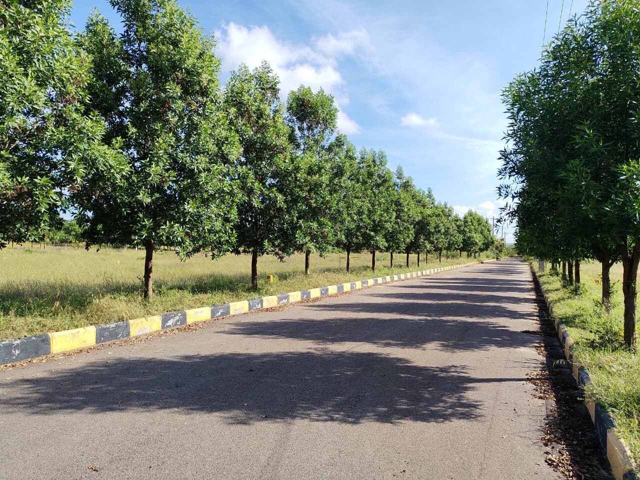 Hyderabad, Residential Plots, INR 13000,  221 Sq. Yard,  DTCP & RERA  APPROVED Open Plots For Sale @ Yacharam