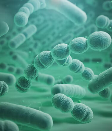 London, Health & Beauty Items, Struggling With Digestion? Try Bacillus Probiotics For Support &ndash; Request Details
