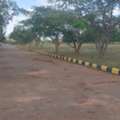 INR 12999,  220 Sq. Yard,  Low Budget Premium Open Plots For Sale Near Future City