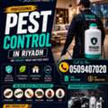 Affordable Professional Pest Control Riyadh 🛡️🐜 | Bed Bugs & All Pest Control