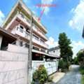 THB 10299000,  6 BR,  114 Sq. Feet,  Saimai Bangkok Office Building For Sale, 4 Floors With Rooftop, Theparak Road.